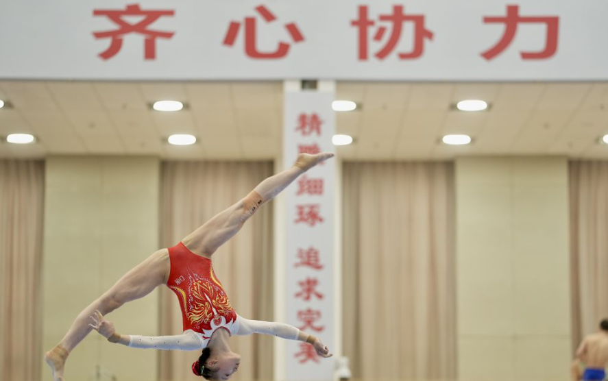 乐鱼体育登录的优缺点分析